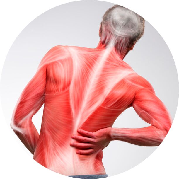 Selg on enamiku inimeste jaoks tavaline lihas- ja liigesevalu allikas.